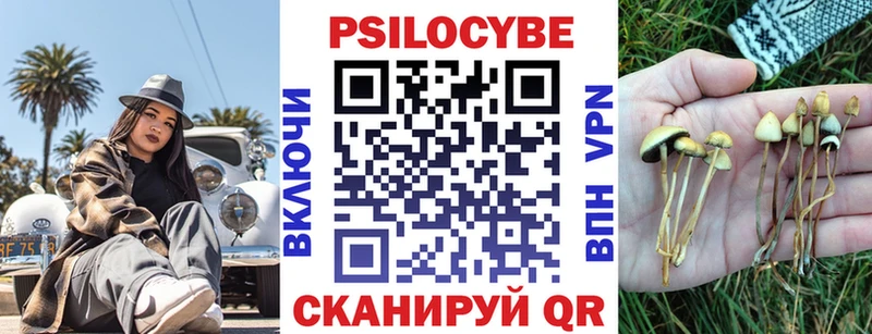 Галлюциногенные грибы MAGIC MUSHROOMS  сколько стоит  Кирово-Чепецк 